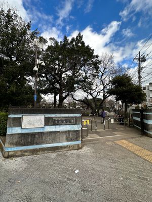 エディアン目黒本町206の室内17