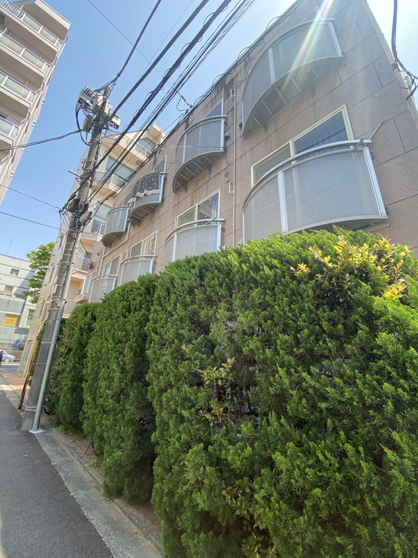 ハルシオンデイズ303の室内9