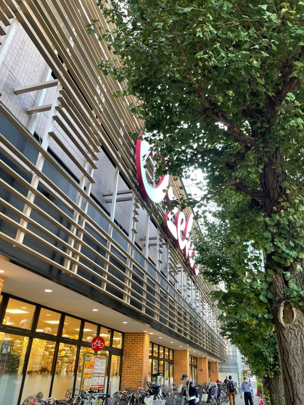 ステージファースト世田谷アジールコート406の室内13