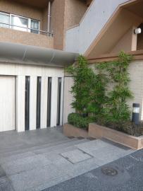 ビバリーホームズ松濤1001の室内16