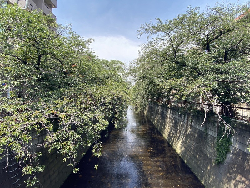 FACTORY NAKAMEGURO(ファクトリー中目黒)202の室内18