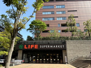 ローレルアイ目黒大橋501の室内14