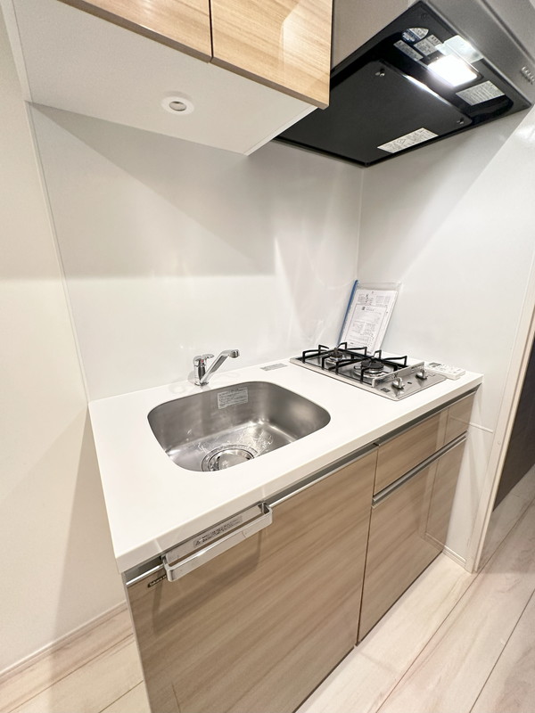 ディアレイシャス下北沢101の室内8