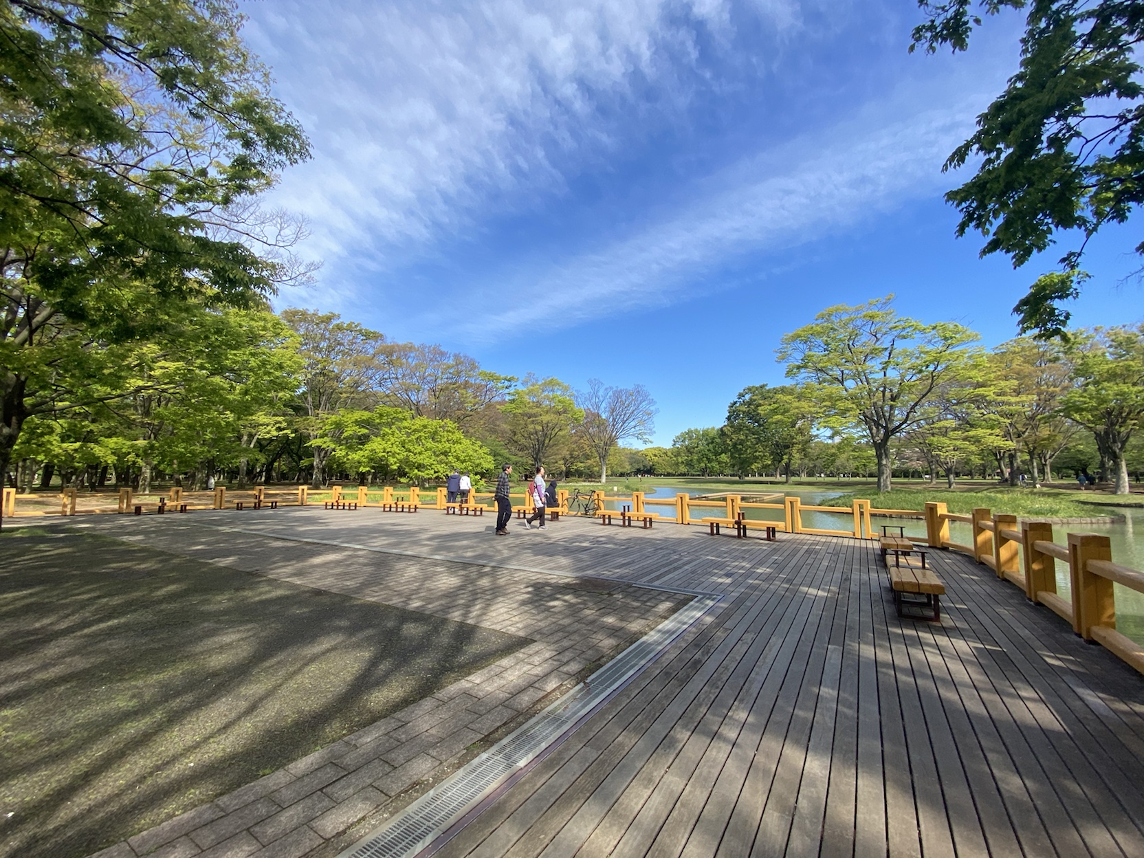 パークアクシス渋谷神山町404の室内18