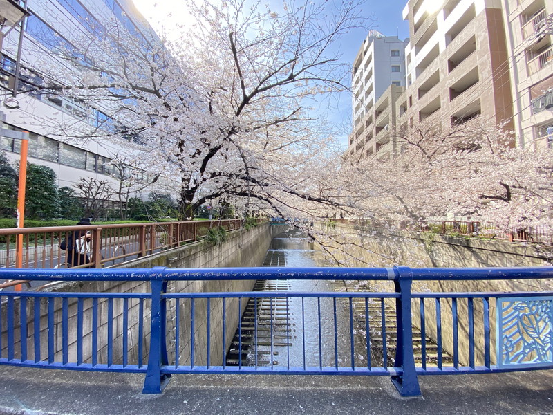 グランヒルレジデンス目黒大橋302の室内13