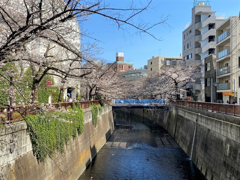 グランヒルレジデンス目黒大橋302の室内12