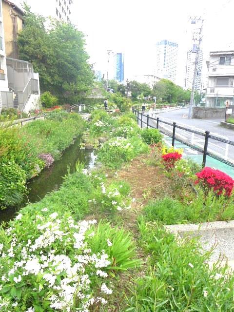 TUR池尻大橋201の室内9
