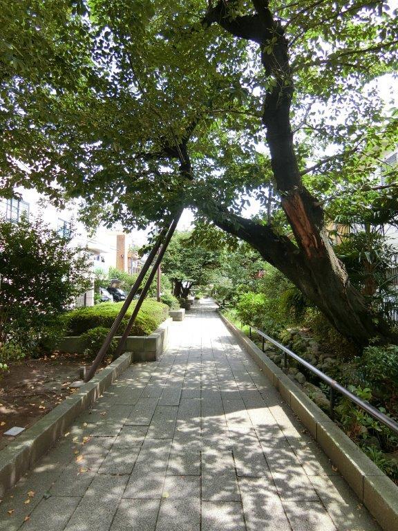 ディアレイシャス池尻大橋101の室内2