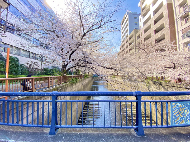 ボヌール大橋301の室内15