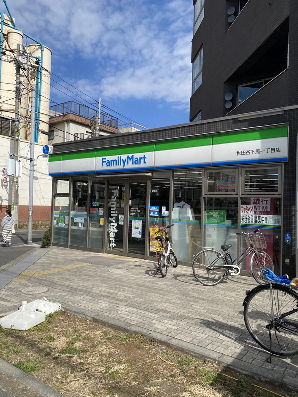 レジディア用賀0203の室内13