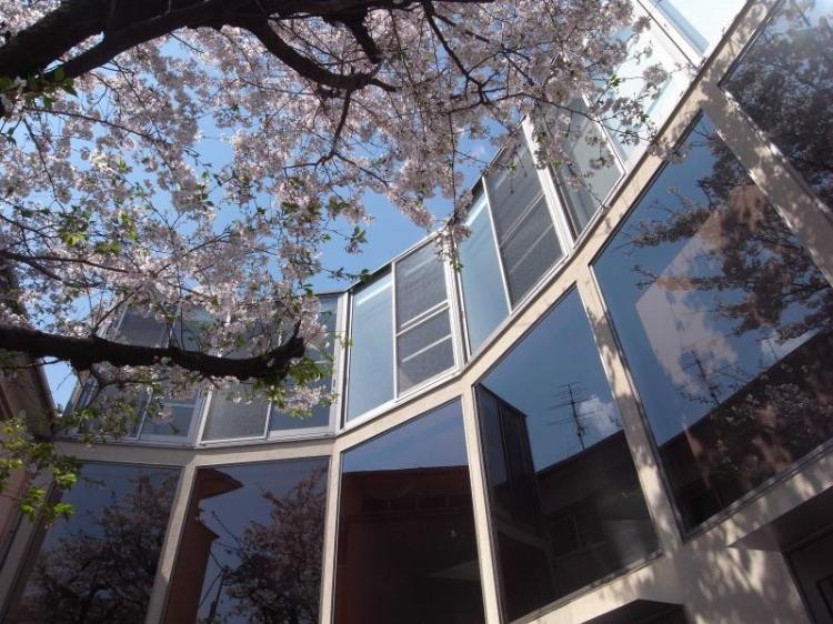 サクラノキテラス中目黒4の室内16