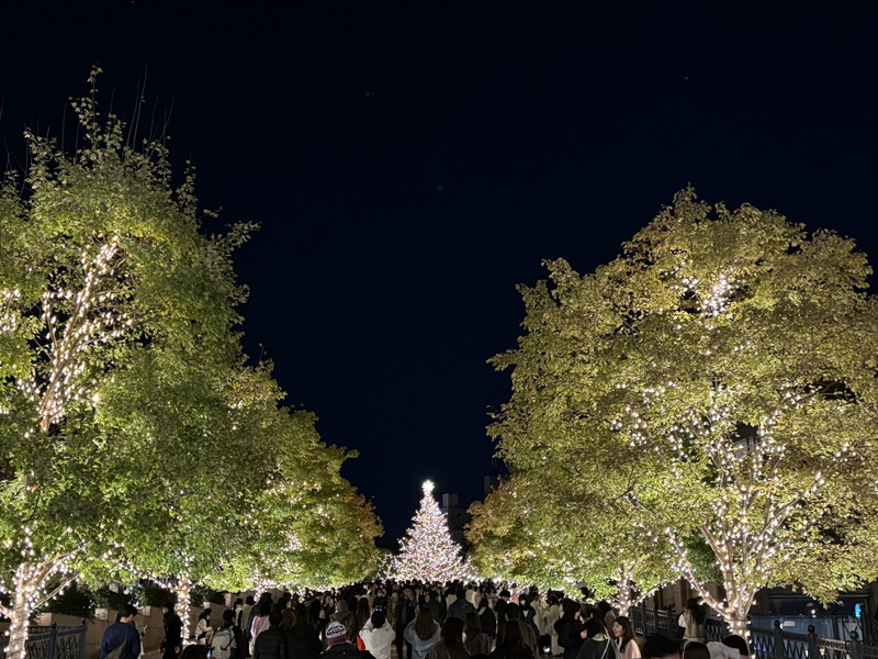 グリーンフォレスト205の室内2