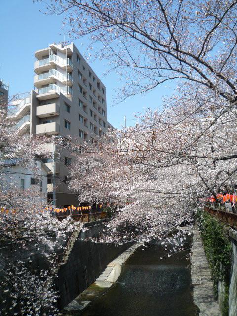 ブリーズヴェール東山201の室内10
