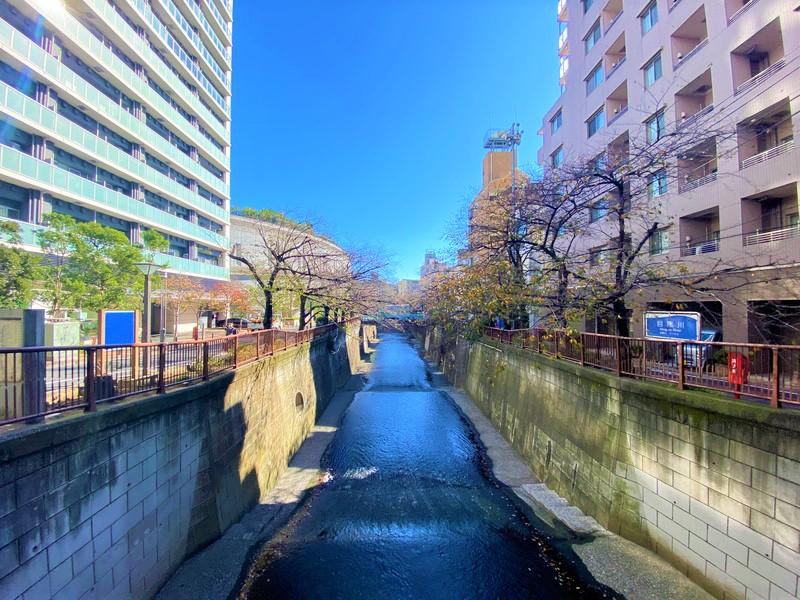 ブリーズヴェール東山201の室内2