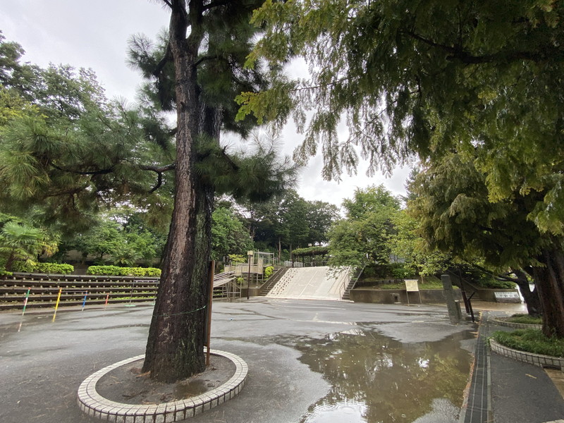 スパシエルクス目黒502の室内17