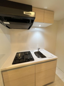 ディアレイシャス世田谷上町207の室内5