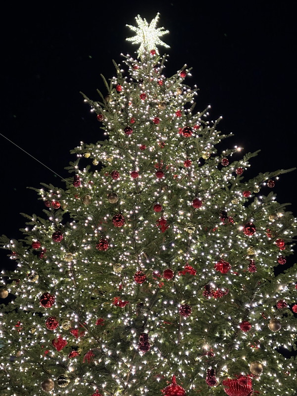 プレミアムキューブ広尾603の室内16