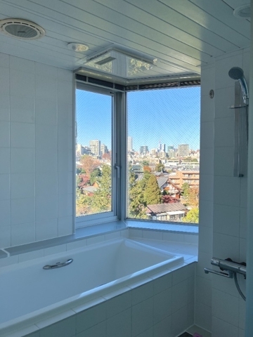 コートモデリア広尾601の室内10