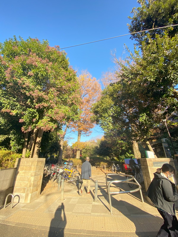 コートモデリア広尾601の室内14