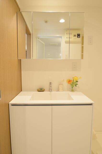 ソサエティ柿の木坂アネックス406の室内8