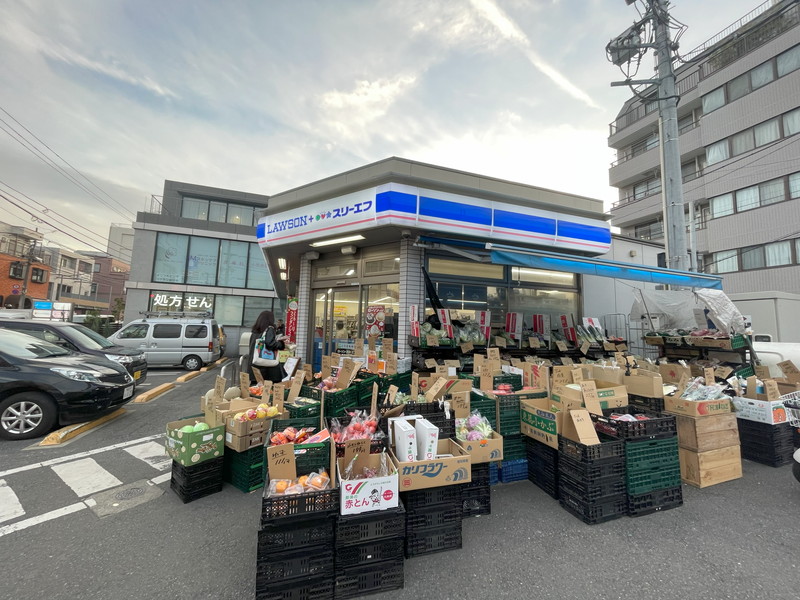 自由が丘ロイヤルハイツ401の室内13