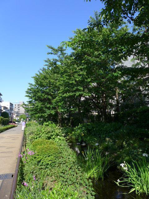 コンフォリア駒場406の室内14