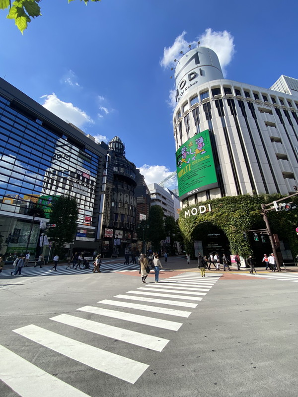 メゾンビスタ渋谷宇田川0502の室内18