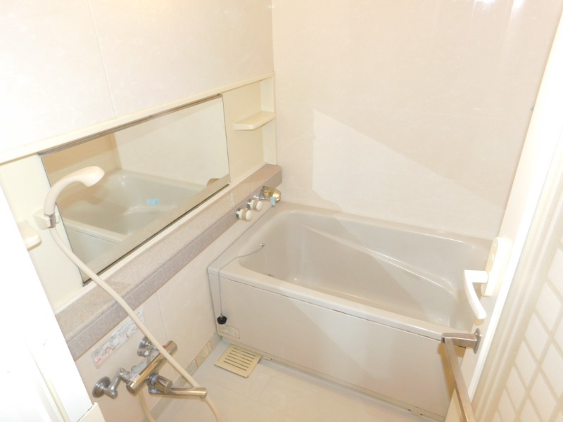 ステラメゾン下北沢403の室内4