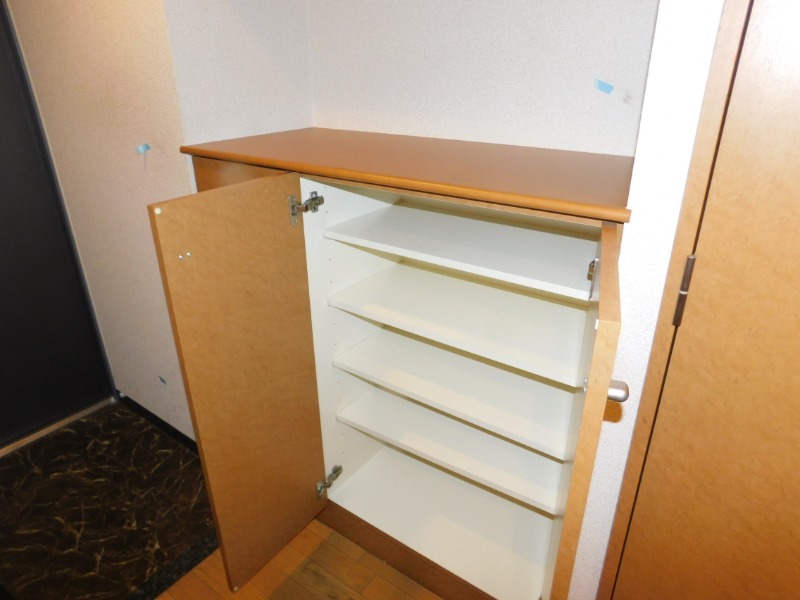 ステラメゾン下北沢403の室内9