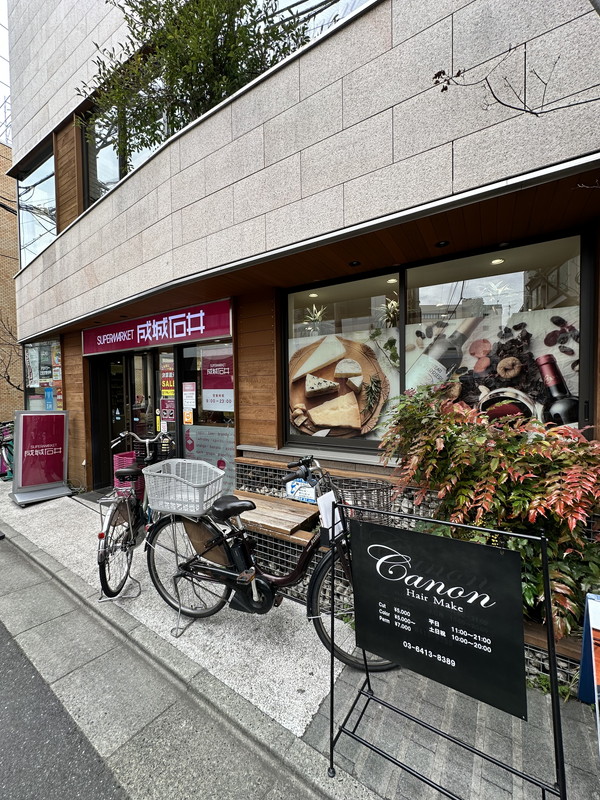 ステラメゾン下北沢403の室内15