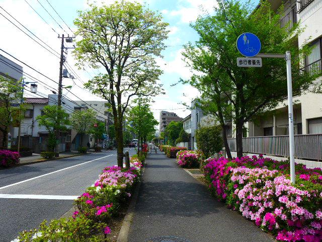 ライオンズステージ世田谷弦巻403の室内9