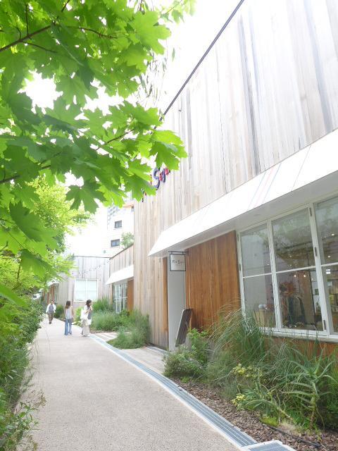 スカーラ代官山302の室内9