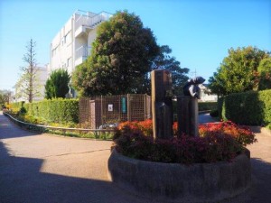 ソフィータMISHUKU101の室内3