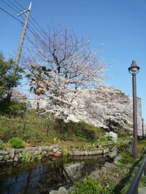 ソレイユ三宿２０３の室内5