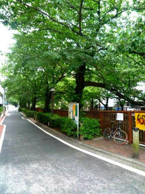目黒第5コーポラス705の室内5