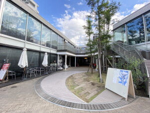 グランピア自由が丘101の室内17