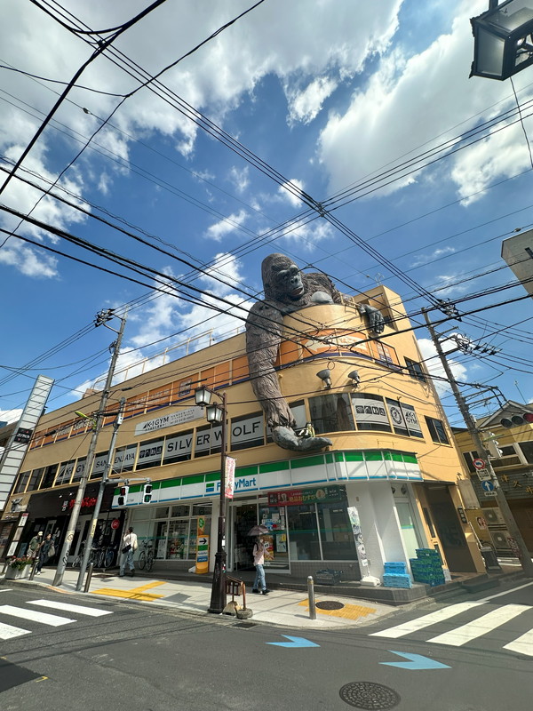 クレイシア三軒茶屋1103の室内12