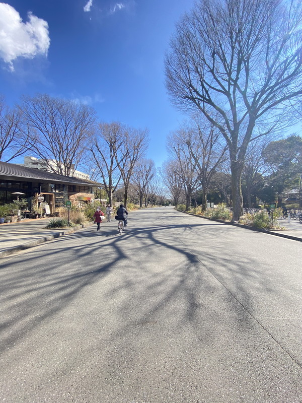 シャイン駒沢303の室内8