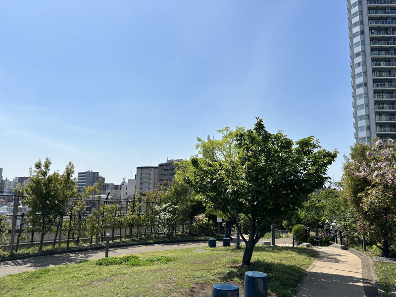 フラッツ大橋509の室内12