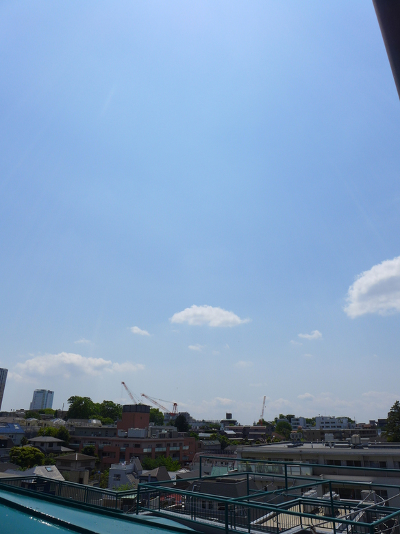 カスタリア渋谷櫻丘601の室内11