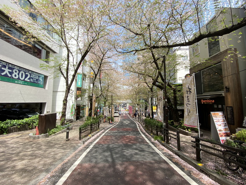 パークアクシス渋谷桜丘ウエスト405の室内17