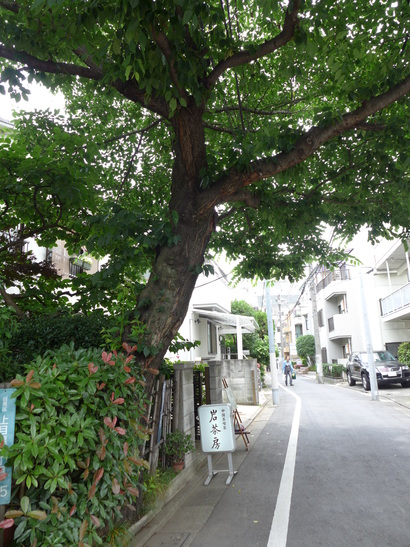 プレステージ中目黒102の室内10