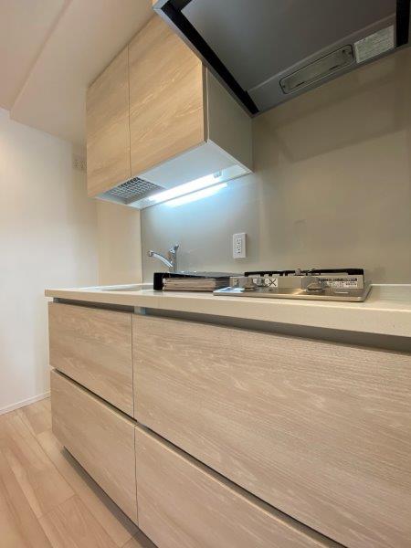 ザ・パークハビオ碑文谷901の室内4