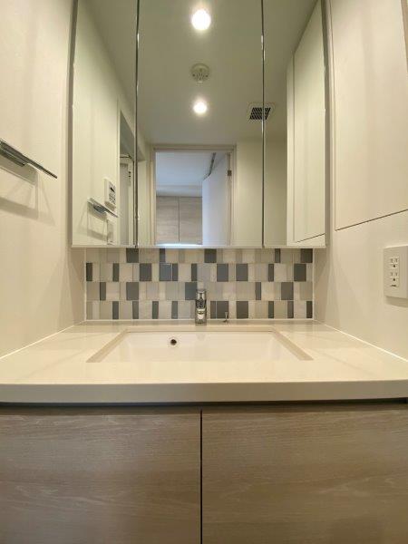 ザ・パークハビオ碑文谷901の室内5