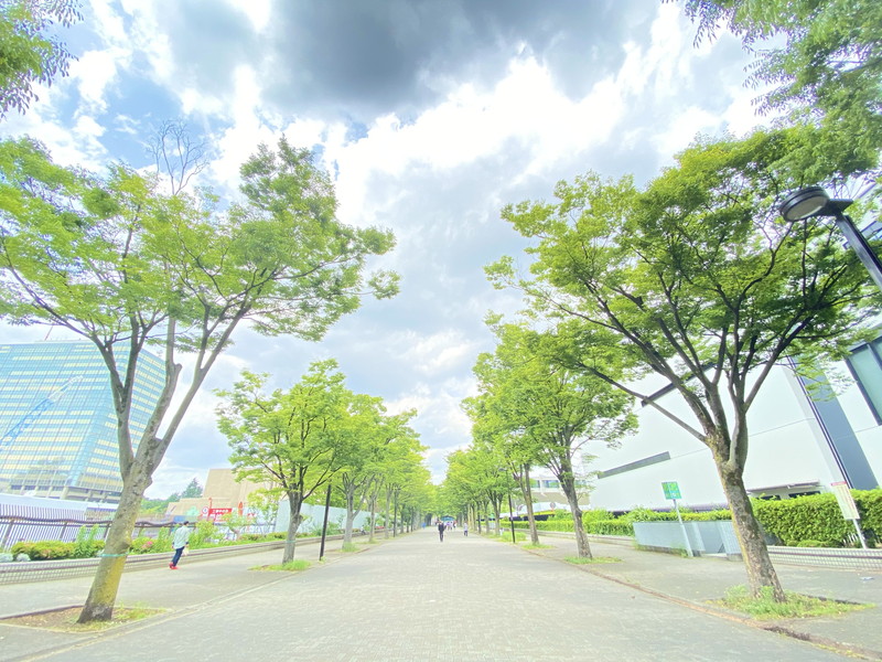 クオリア神南フラッツ806の室内10