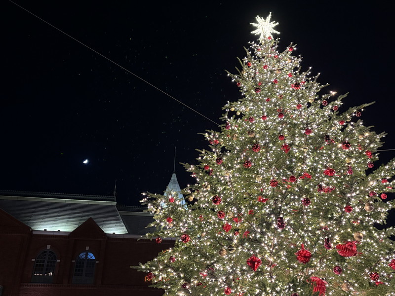 サンハウスCの室内11