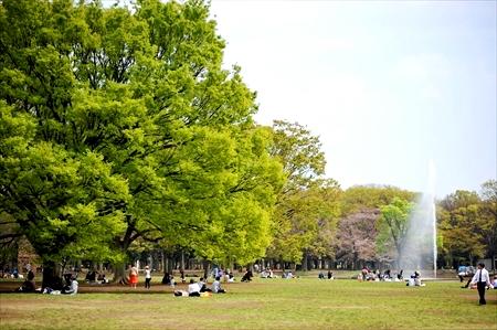 カメリア神宮前201の室内1