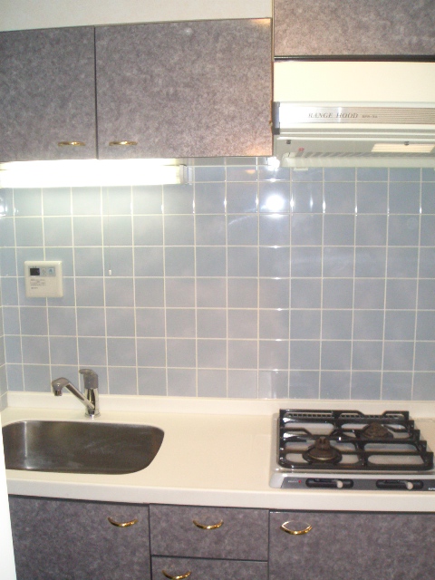 菱和パレス世田谷桜新町113の室内4