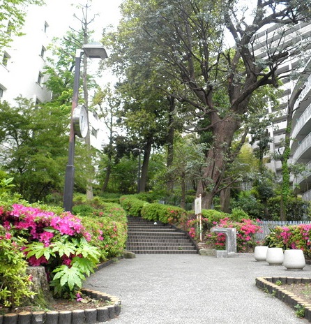 マイキャッスル中目黒Ⅲ505の室内9