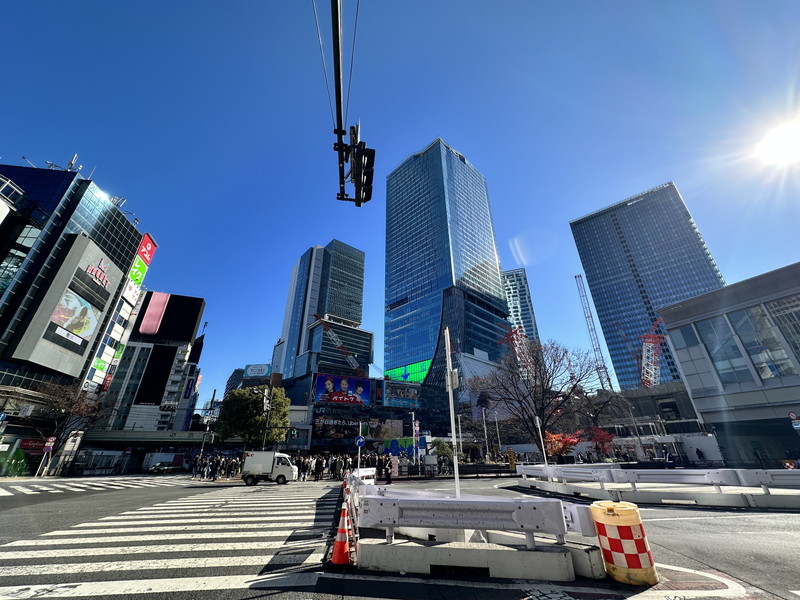 ガーラ・シティ渋谷南平台11階の室内15